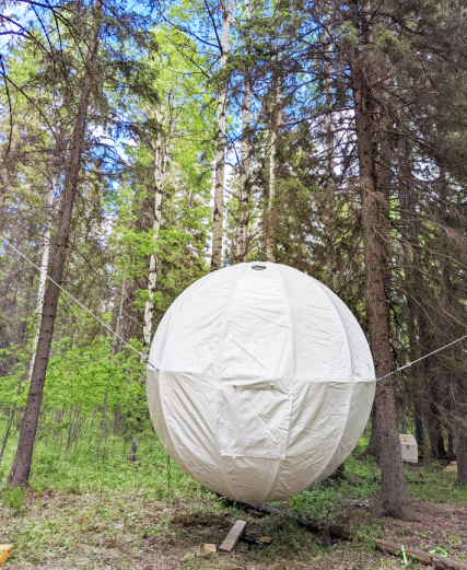 3M Tree Bubble Tent